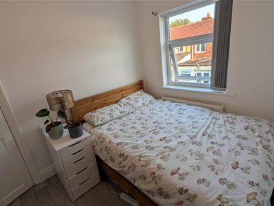 Picture 15
